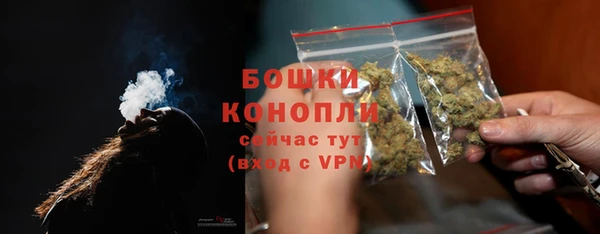 гидра Бородино