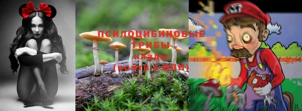 метадон Богородск